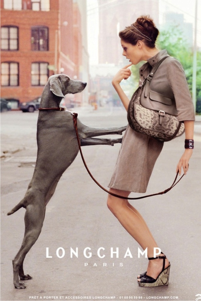 dog, fashion, editorial, magazine, photography
